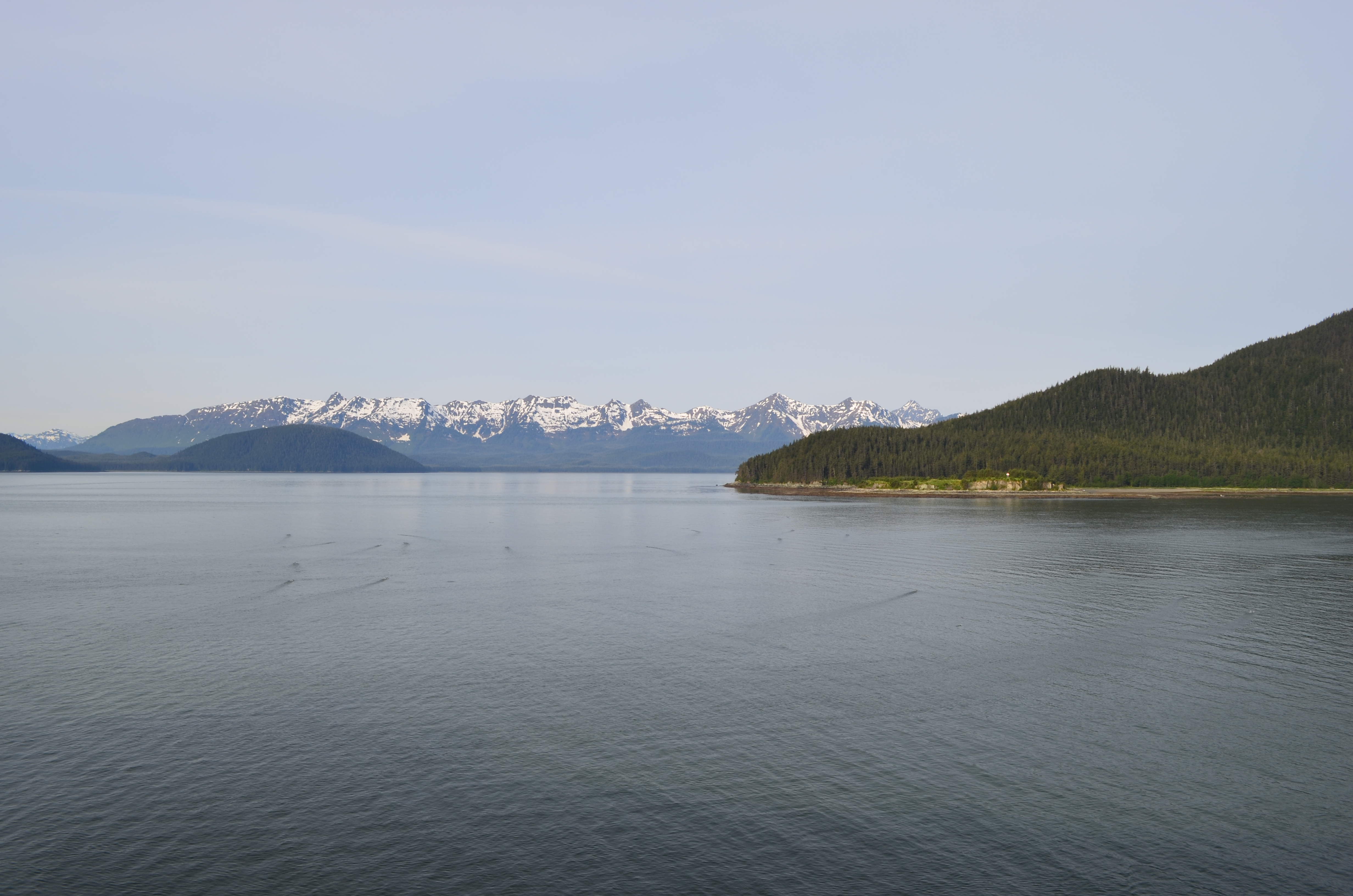 ./2017/08 - Alaska Cruise/08 - Juneau/DSC_0811.JPG